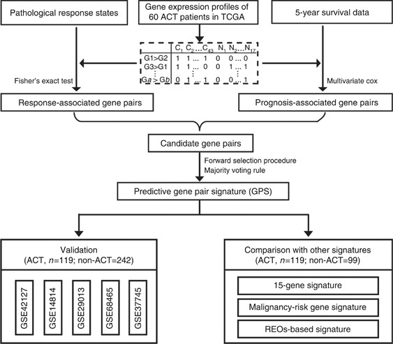 An Individualised Signature For Predicting Response With Concordant Survival Benefit For Lung Adenocarcinoma Patients Receiving Platinum Based Chemotherapy British Journal Of Cancer