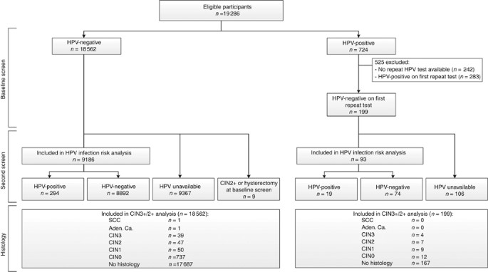 Positive high risk human papillomavirus - Hpv high risk infection Teste Archive - Personal Genetics