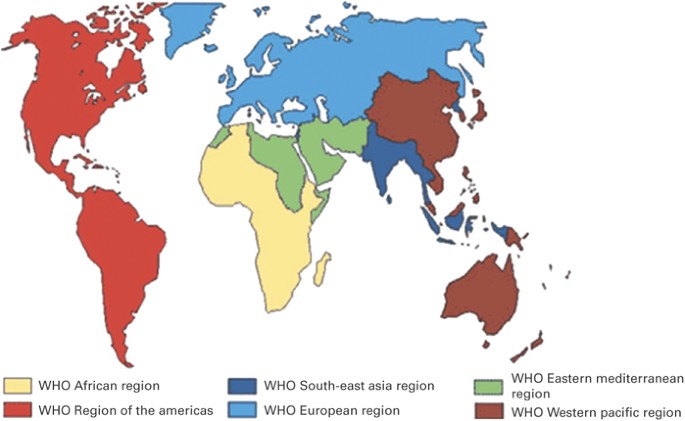 Special Issues Related To Hematopoietic Sct In The Eastern Mediterranean Region And The First Regional Activity Report Bone Marrow Transplantation