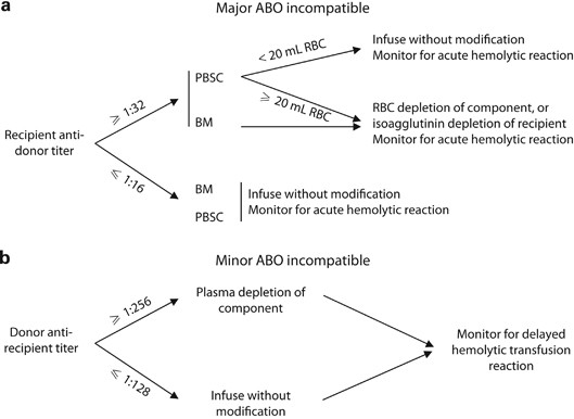 Red blood cell-incompatible allogeneic hematopoietic progenitor cell transplantation | Bone Marrow Transplantation Red blood cell-incompatible allogeneic hematopoietic progenitor cell transplantation | Bone Marrow Transplantation