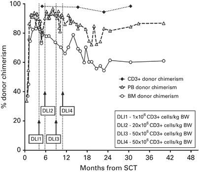 Long-term survival after allogeneic-matched sibling pbsc transplantation with conditioning consisting of low-dose busilvex and fludarabine in a 3-year