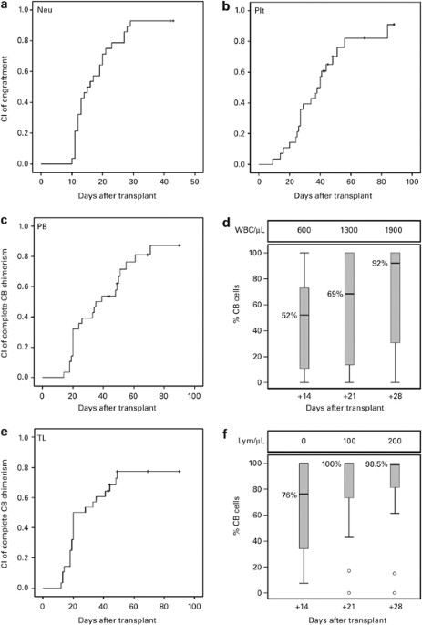 Early peripheral blood and t-cell chimerism dynamics after umbilical cord blood transplantation supported with haploidentical cells