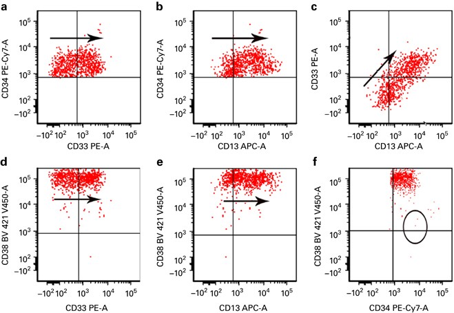 Multi-color flow cytometric immunophenotyping for detection of minimal residual disease in aml: past, present and future