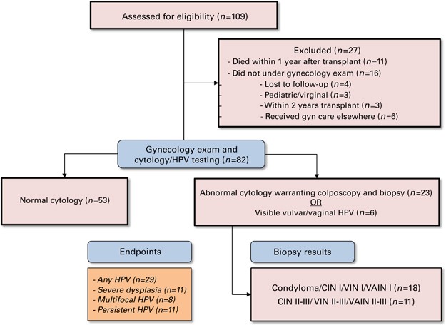 schema papiloma