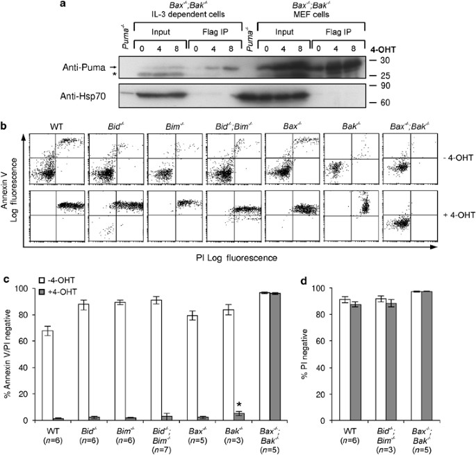 Puma indirectly activates Bax to cause apoptosis in the absence of Bid or  Bim | Cell Death & Differentiation