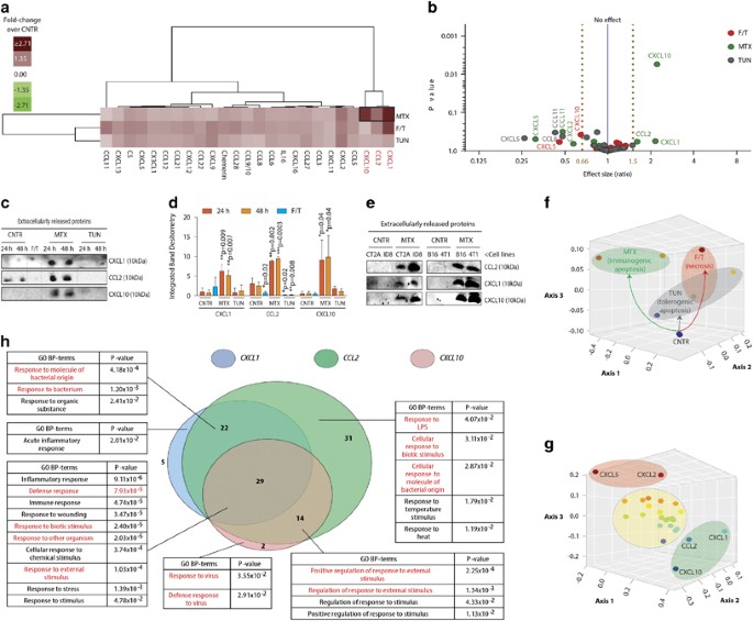 Pathogen response-like recruitment and activation of neutrophils by sterile immunogenic dying cells drives neutrophil-mediated residual cell killing