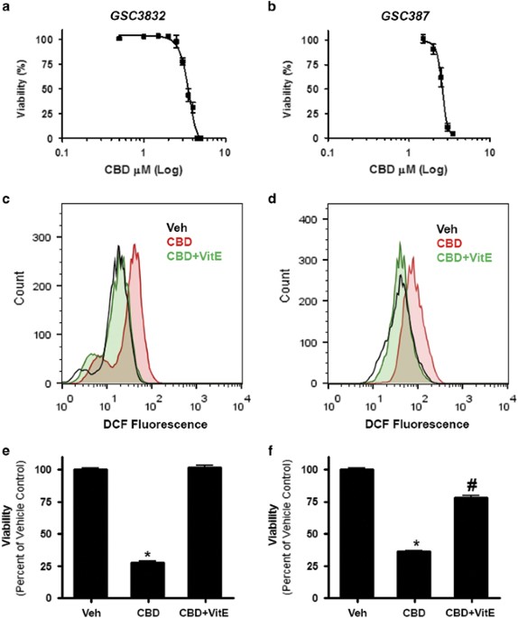 Reactive oxygen species-mediated therapeutic response and resistance in glioblastoma