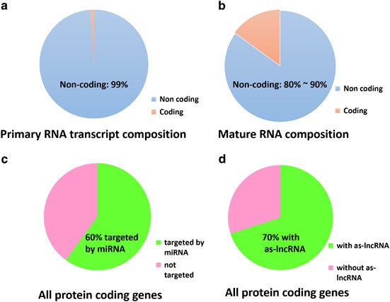Regulatory non-coding RNA: new instruments in the orchestration of cell death | Cell Death & Disease