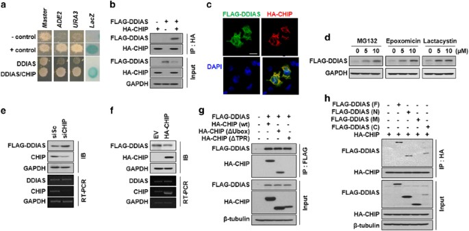 feature-image