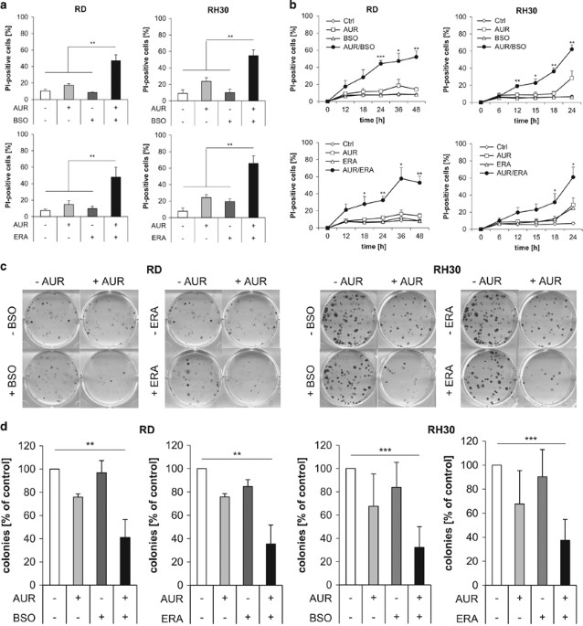 Targeting redox homeostasis in rhabdomyosarcoma cells: GSH-depleting agents enhance auranofin-induced cell death