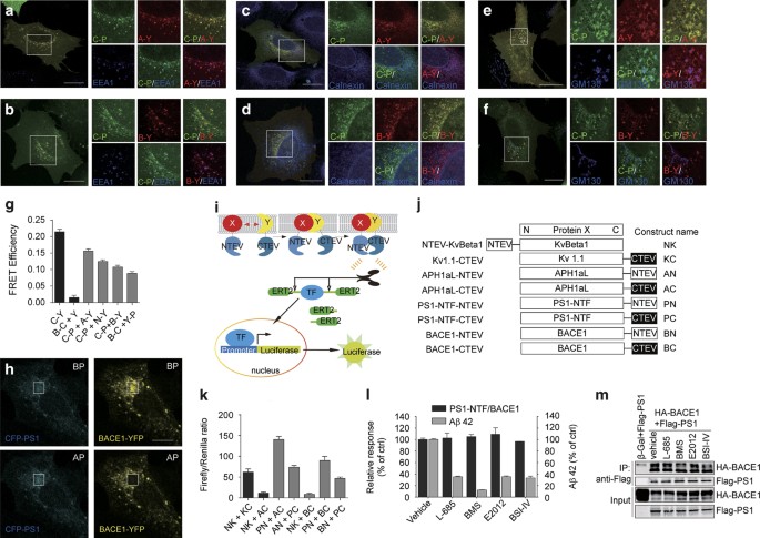 mizuno håndballsko 2015