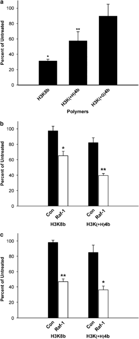 Systemic delivery of hk raf-1 sirna polyplexes inhibits mda-mb-435 xenografts