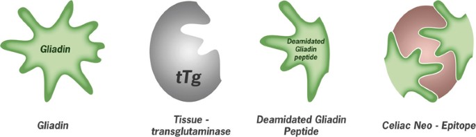 semaglutide for bodybuilding Does Taking Ozempic & Testosterone Together Help Build Muscle? semaglutide for bodybuilding Does Taking Ozempic & Testosterone Together Help Build Muscle?