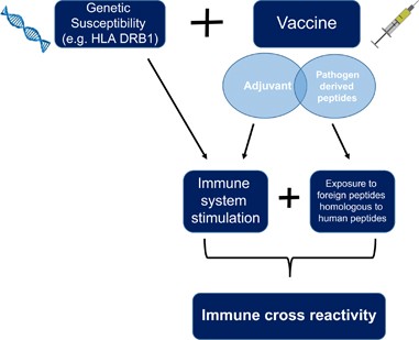 Can vaccines cause autoimmune disease