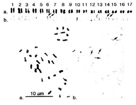 feature-image