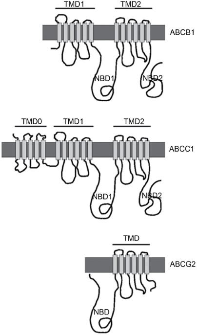 feature-image