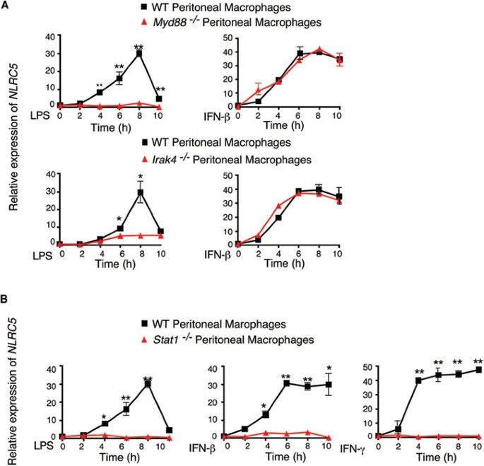 Enhanced tlr-induced nf-κb signaling and type i interferon responses in nlrc5 deficient mice
