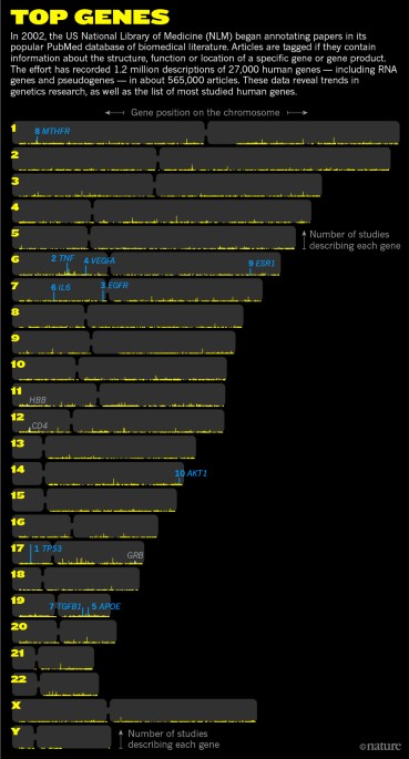 Human genome - Wikipedia