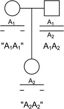 The effect of pedigree structure on detection of deletions and other null alleles