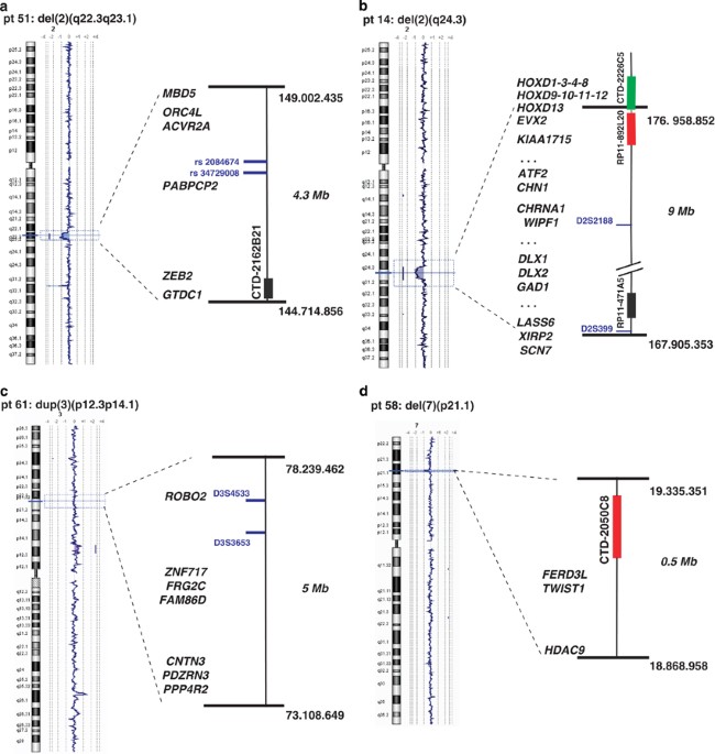 First case report of inherited Rubinstein-Taybi syndrome associated with a  novel EP300 variant, BMC Medical Genetics