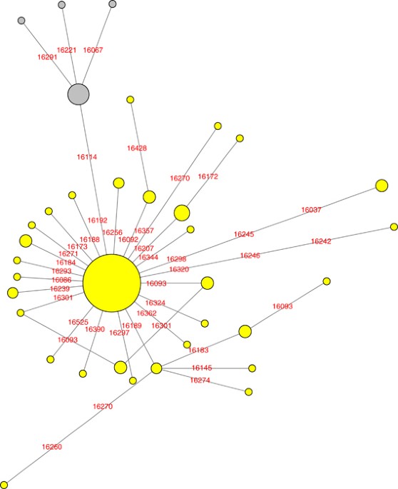 Sephardic signature in haplogroup t mitochondrial dna