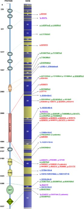 feature-image
