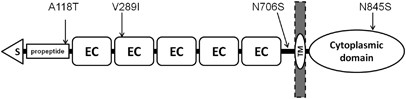 feature-image