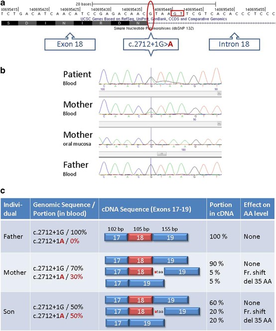 A mosaic maternal splice donor mutation in the EHMT1 gene leads to aberrant  transcripts and to Kleefstra syndrome in the offspring