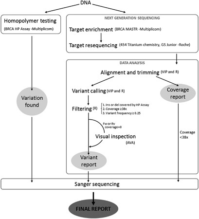 Next-Generation Sequencing Meets Genetic Diagnostics: Development.