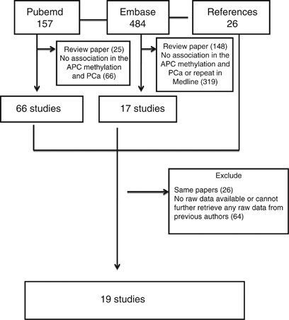 Apc gene hypermethylation and prostate cancer: a systematic review and meta-analysis