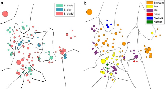 The influence of clan structure on the genetic variation in a single ghanaian village