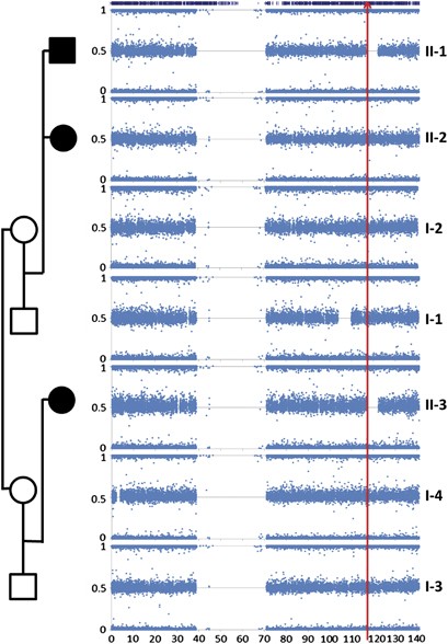 PDF) Identification of de novo EP300 and PLAU variants in a patient with Rubinstein–Taybi syndrome-related arterial vasculopathy and skeletal anomaly