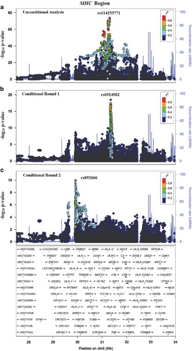 Fine mapping of eight psoriasis susceptibility loci