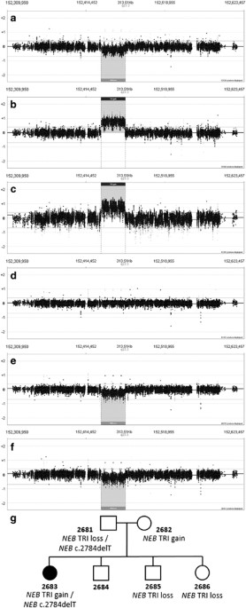 A recurrent copy number variation of the neb triplicate region: only revealed by the targeted nemaline myopathy cgh array