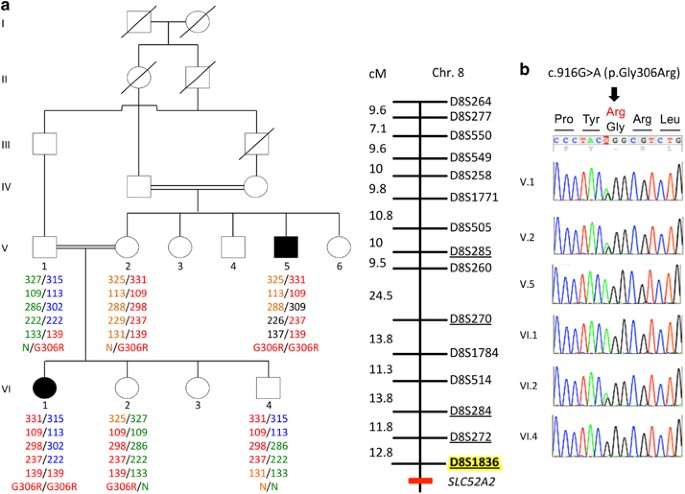 32719 PDFs  Review articles in ATAXIA