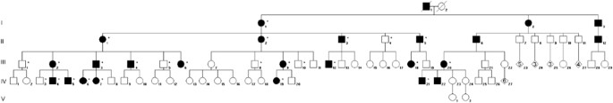 The disruption of a novel limb cis-regulatory element of shh is associated with autosomal dominant preaxial polydactyly-hypertrichosis