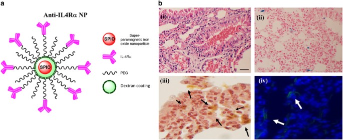 feature-image