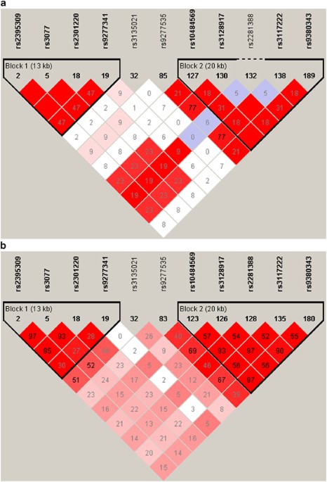 Risk alleles for chronic hepatitis b are associated with decreased mrna expression of hla-dpa1 and hla-dpb1 in normal human liver