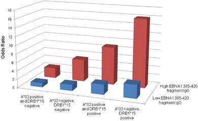 Epstein-Barr virus and multiple sclerosis: interaction with HLA