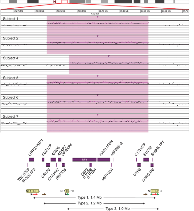 High frequency of copy number imbalances in Rubinstein–Taybi patients  negative to CREBBP mutational analysis