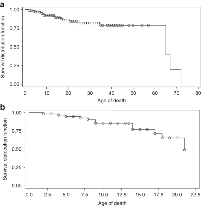 Niemann-Pick disease type-B: a unique case report with compound