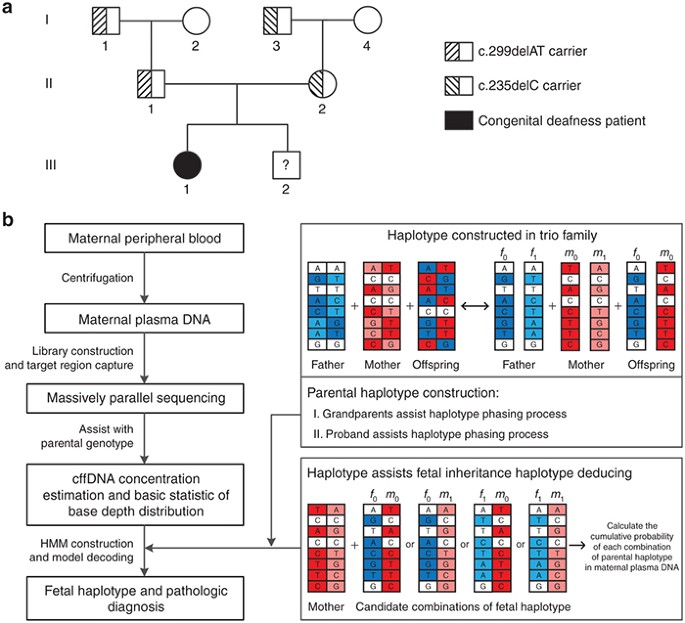 Fetal genome profiling at 5 weeks of gestation after noninvasive