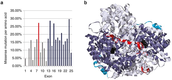 The Genetic Basis Of Classic Nonketotic Hyperglycinemia Due To Mutations In Gldc And Amt Genetics In Medicine