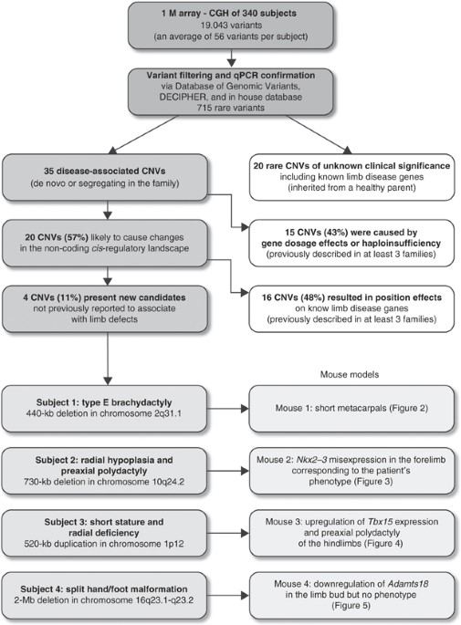 Inherited Variations In Noncoding >> Noncoding Copy Number Variations Are Associated With Inherited Variations In Noncoding >> Noncoding Copy Number Variations Are Associated With