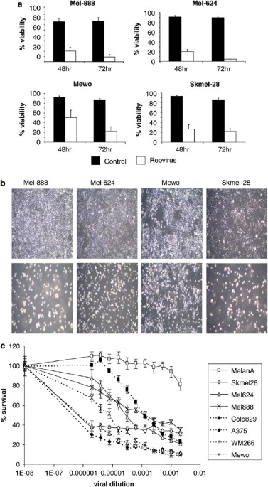 Inflammatory Tumour Cell Killing By Oncolytic Reovirus For The