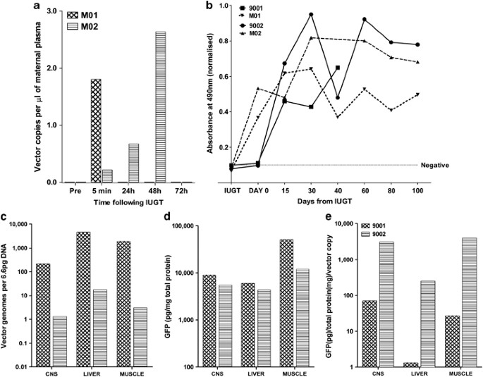 Systemic Delivery Of Scaav9 In Fetal Macaques Facilitates Neuronal Transduction Of The Central And Peripheral Nervous Systems Gene Therapy