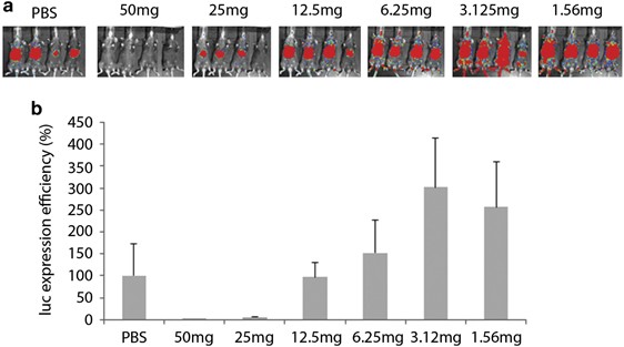Prediction of adeno-associated virus neutralizing antibody activity for clinical application