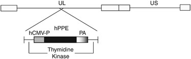 feature-image