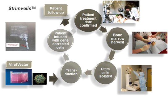 Delivering Advanced Therapies The Big Pharma Approach Gene Therapy Delivering Advanced Therapies The Big Pharma Approach Gene Therapy