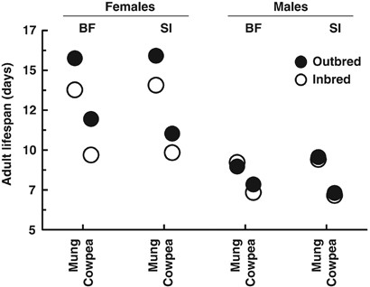 Environmental Effects On Sex Differences In The Genetic Load For Adult Lifespan In A Seed Feeding Beetle Heredity